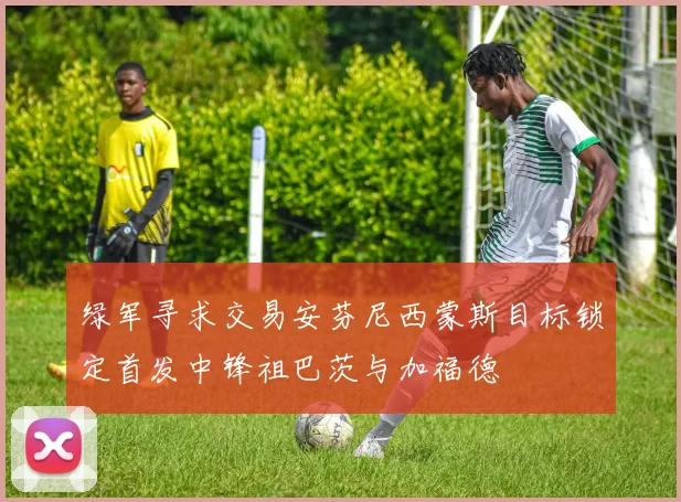 绿军寻求交易安芬尼西蒙斯目标锁定首发中锋祖巴茨与加福德
