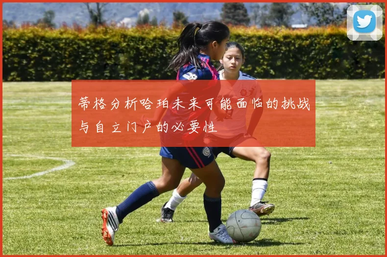 蒂格分析哈珀未来可能面临的挑战与自立门户的必要性